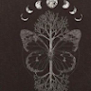 Meet your Posher, Audrey